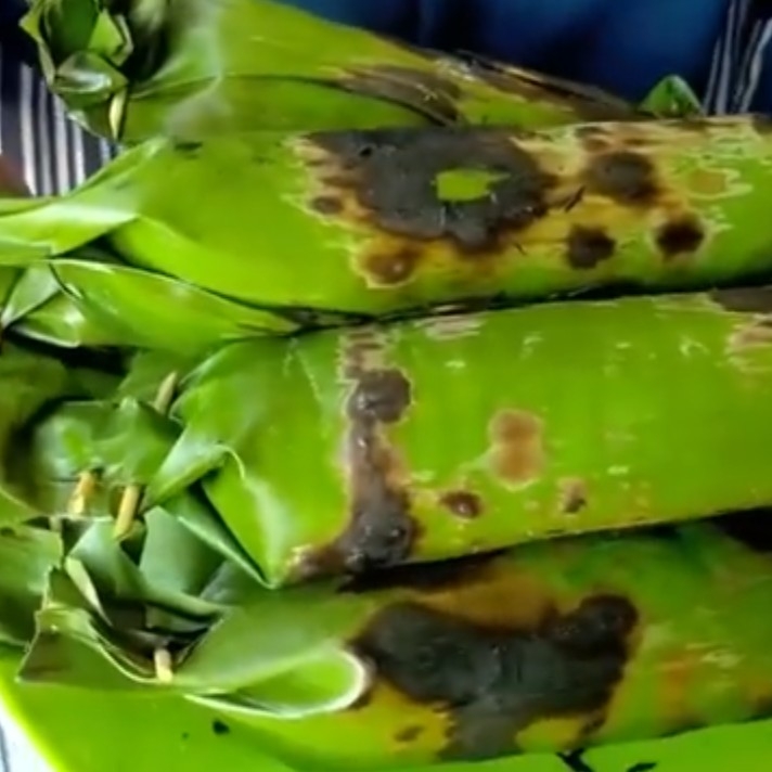 Nasi Bakar Isi Tempe Porsi Dewasa