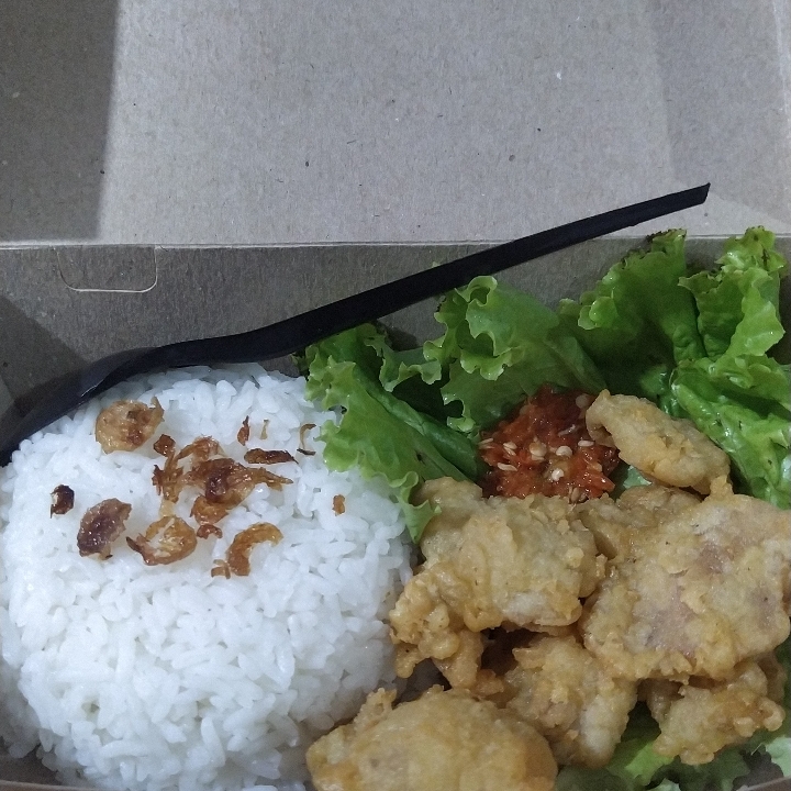Nasi Ayam Kulit Cryspy
