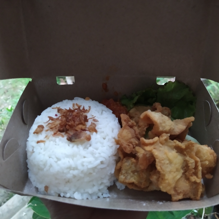 Nasi Ayam Kulit Cryspy 2