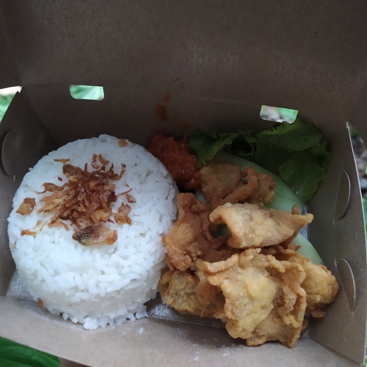 Nasi Ayam Kulit Cryspy 3