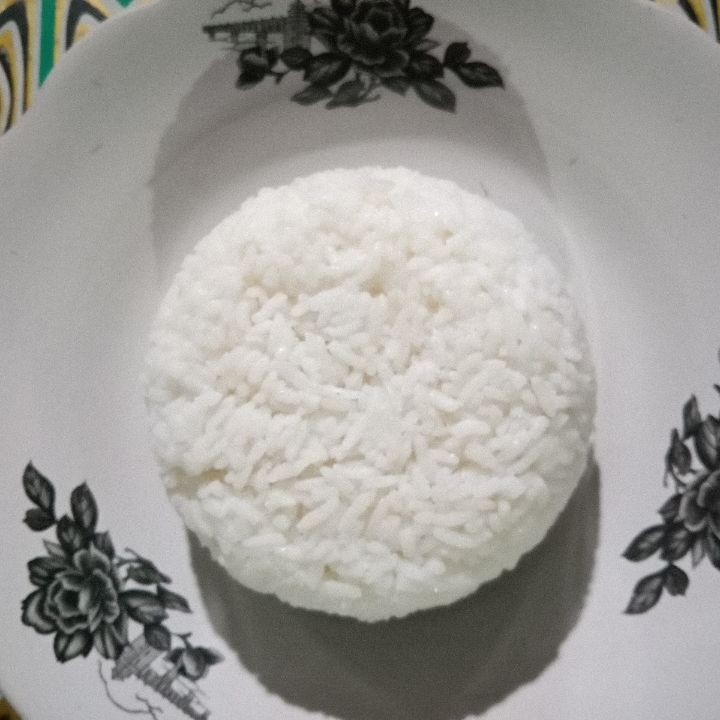Nasi Biasa