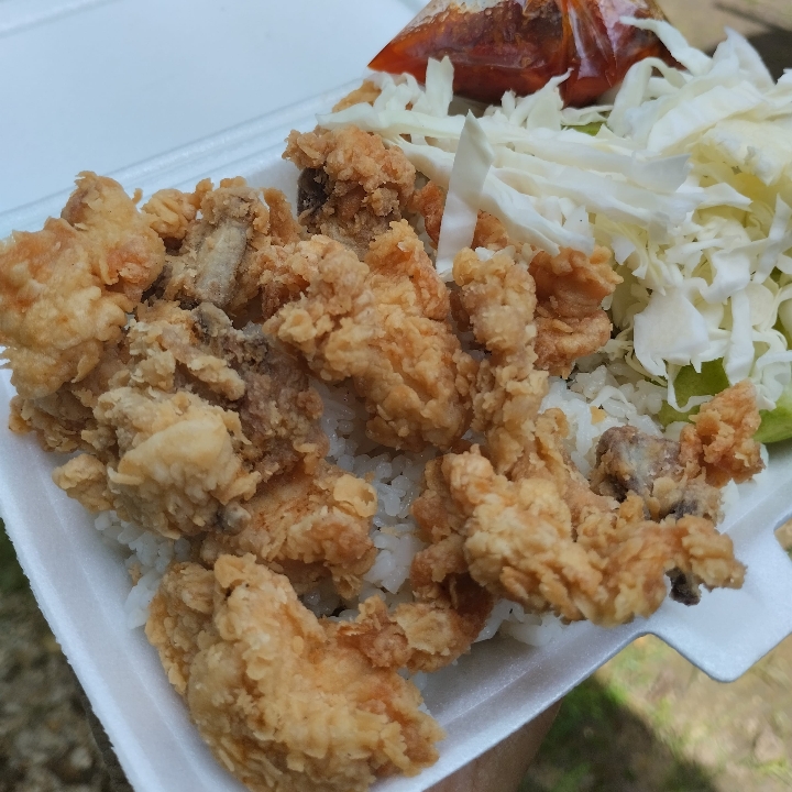 Nasi Daun Jeruk Ayam 2