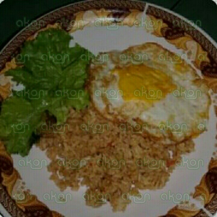 Nasi Goreng Biasa