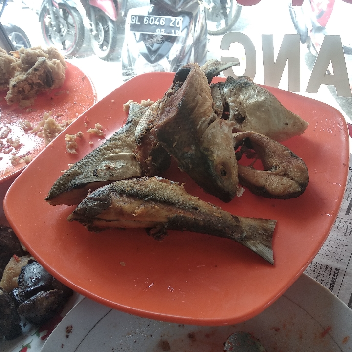 Nasi Ikan
