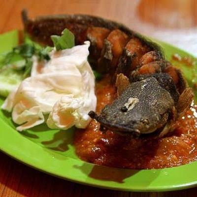 Nasi Ikan Lele