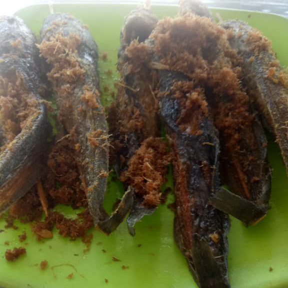 Nasi Ikan Lele Kalasan