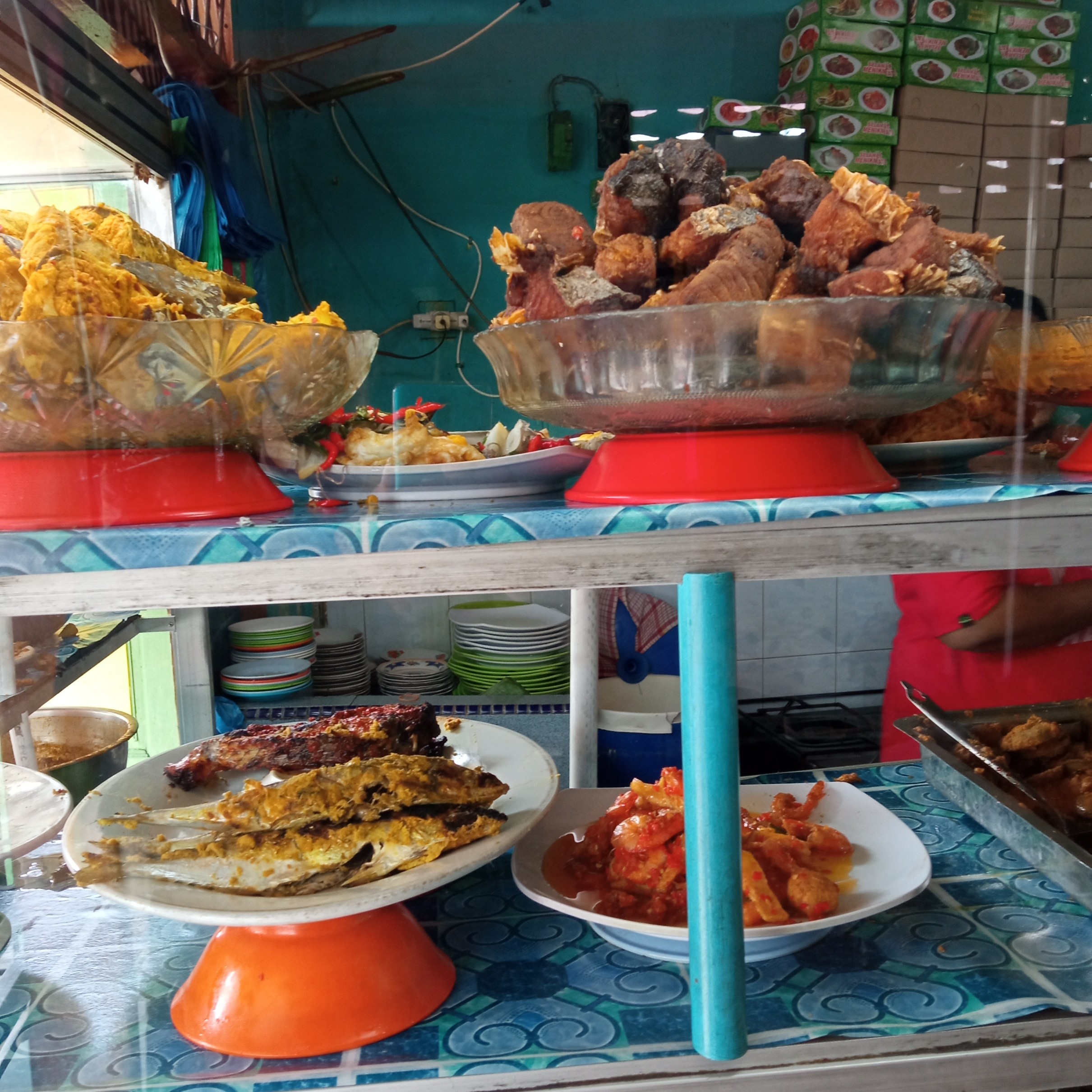 Nasi Ikan Mayung