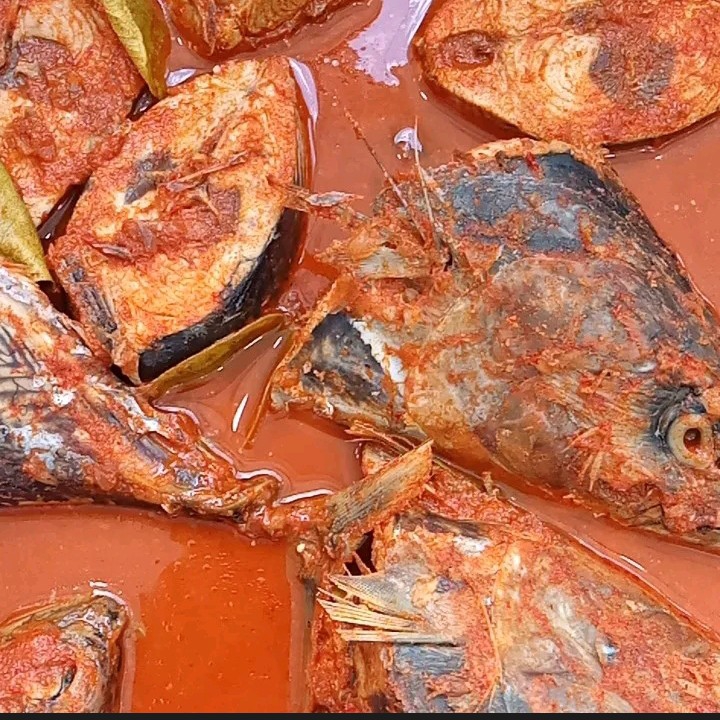 Nasi Ikan Tongkol Asam Padeh