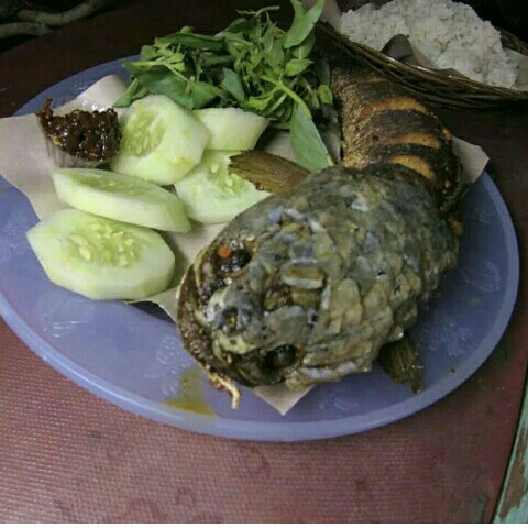 Nasi Kutuk