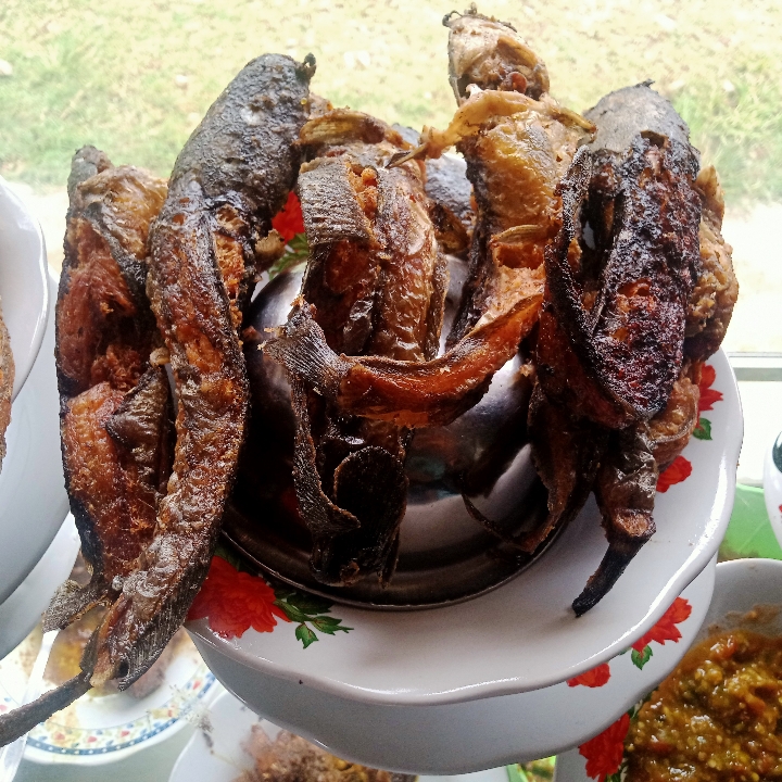 Nasi Lele