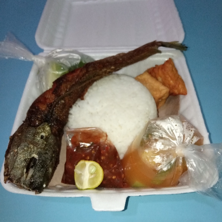 Nasi Lele