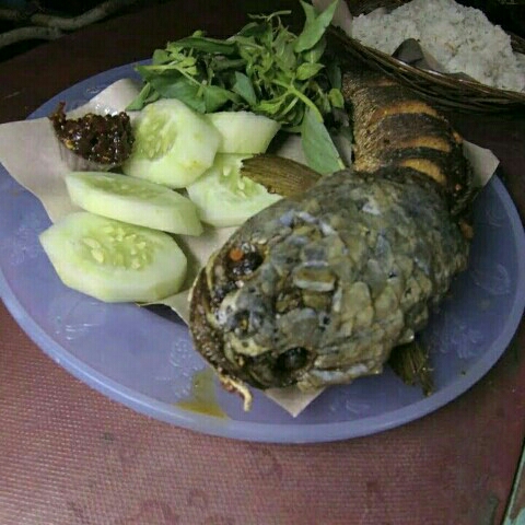 Nasi Kutuk