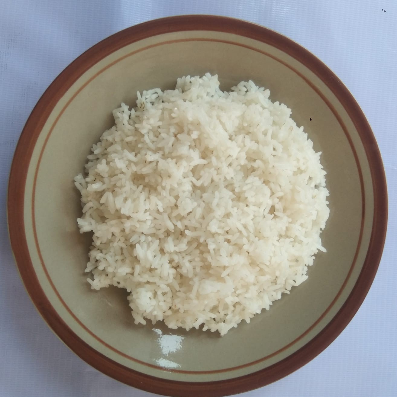 Nasi Only