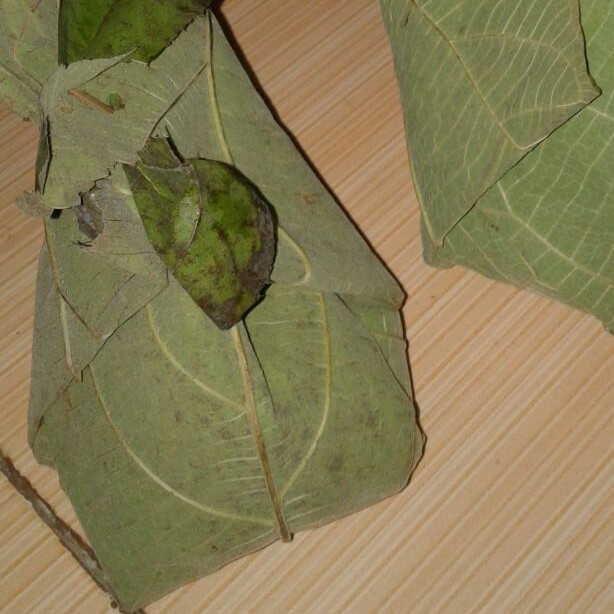 Nasi Pecel