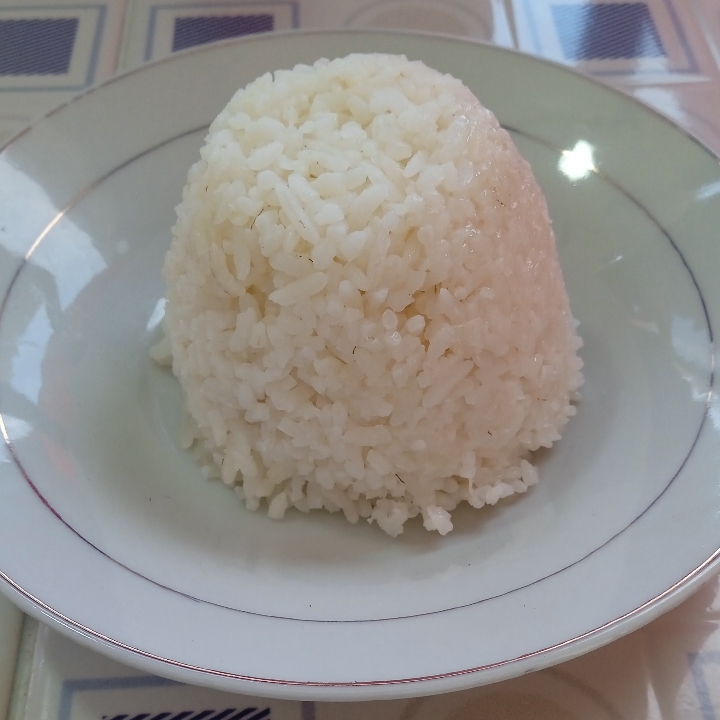 Nasi Putih Saja