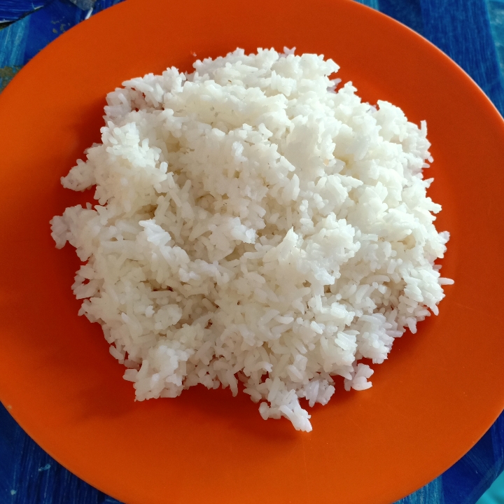 Nasi Putih