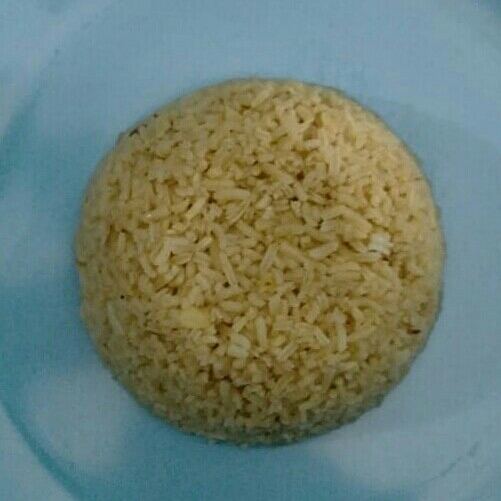 Nasi Samin