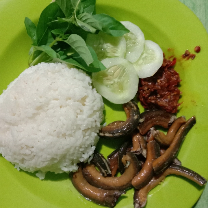 Nasi plus Belut Goreng 