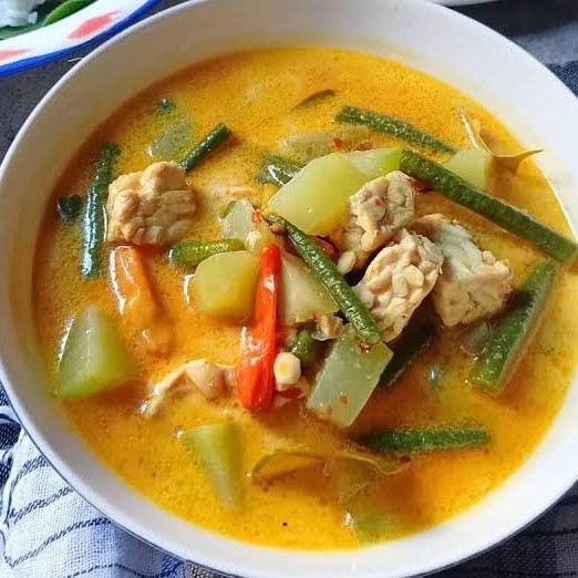 Nasi sayur lodeh