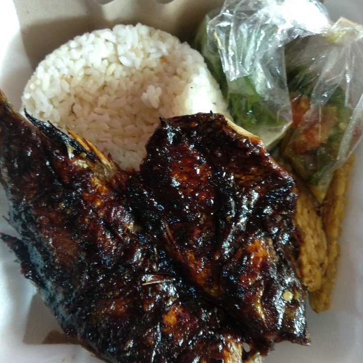 Nasiliwet Nila Bakar