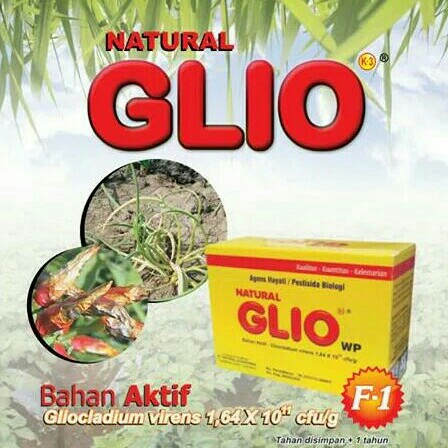 Natural GLIO Pengendali HAMA