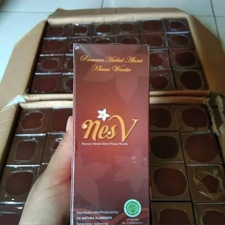 Nes V