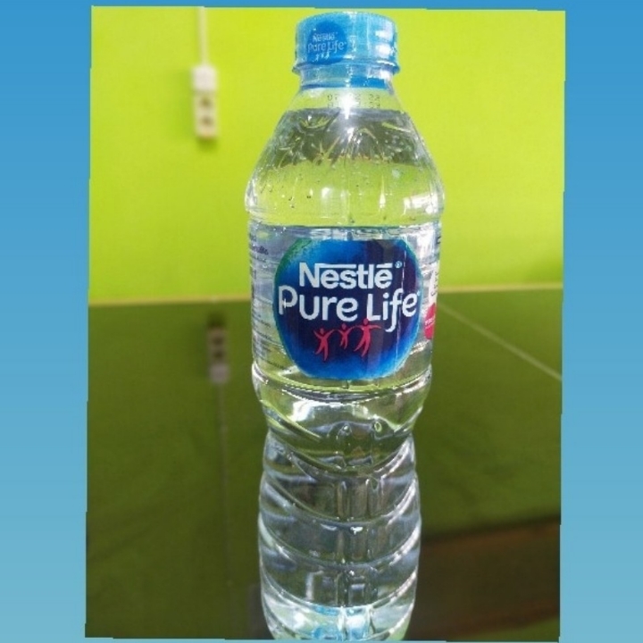 Nestle Botol 600ML