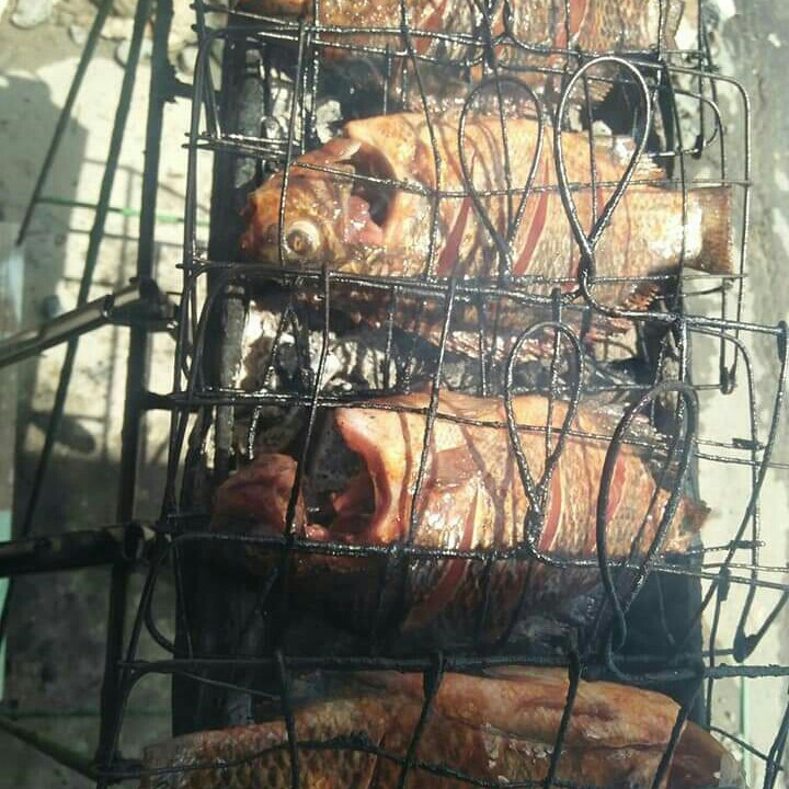 Nila Bakar
