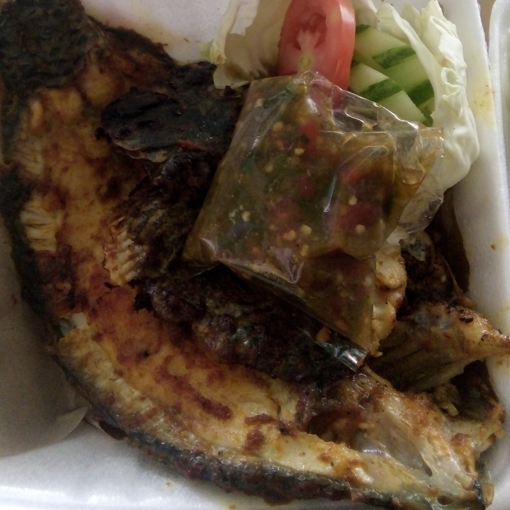 Nila Bakar