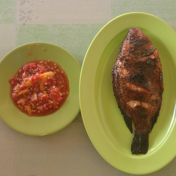 Nila Bakar