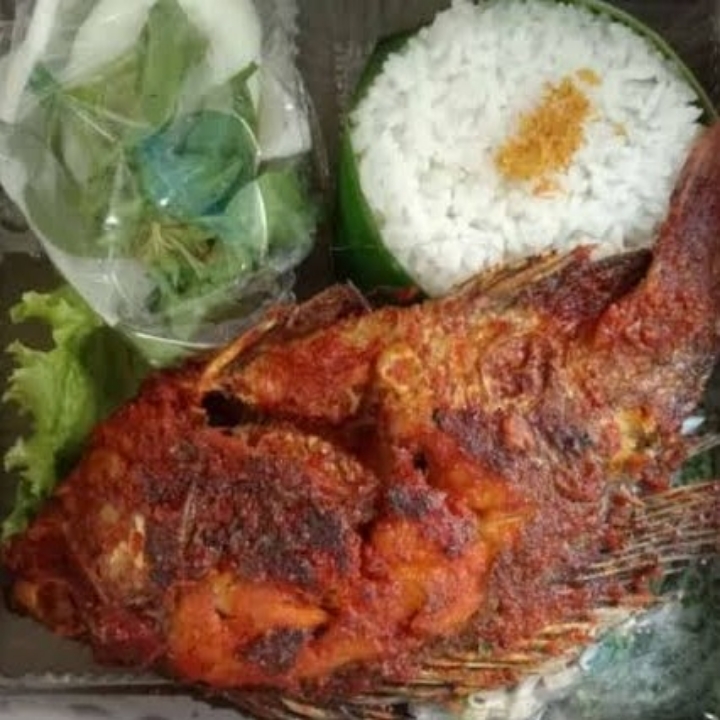 Nila Bakar