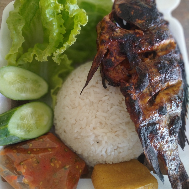 Nila Bakar