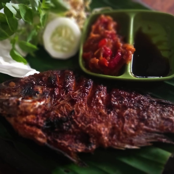 Nila Bakar 2