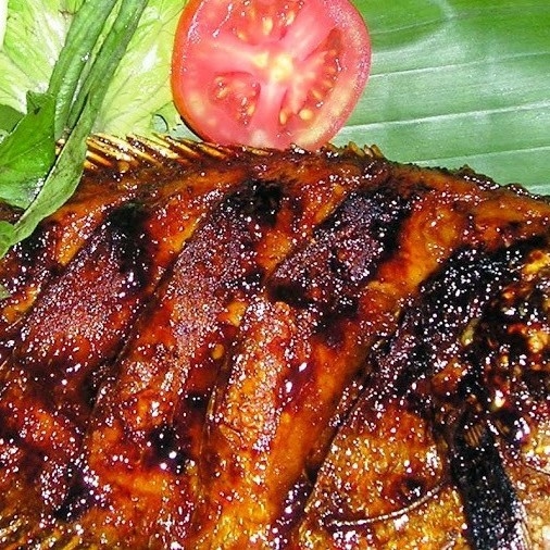 Nila Bakar QQ