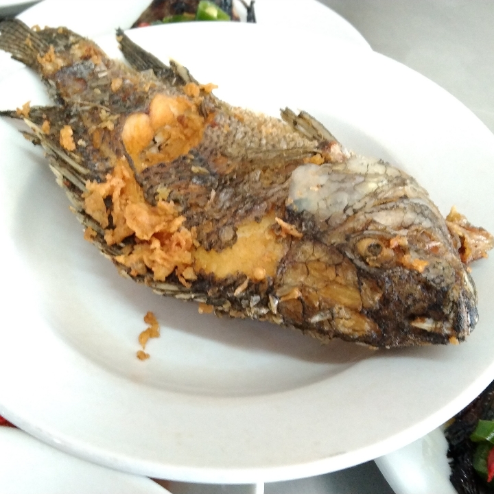 Nila Goreng