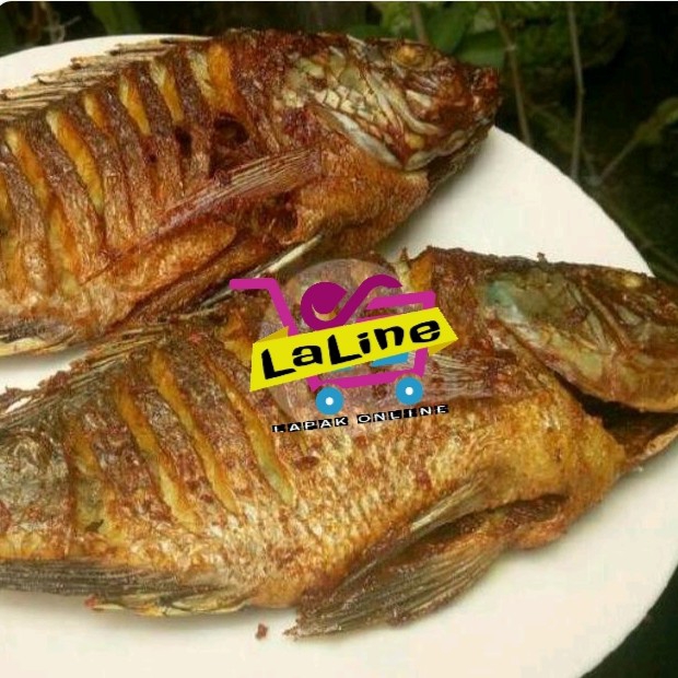 Nila Goreng Plus Nasi