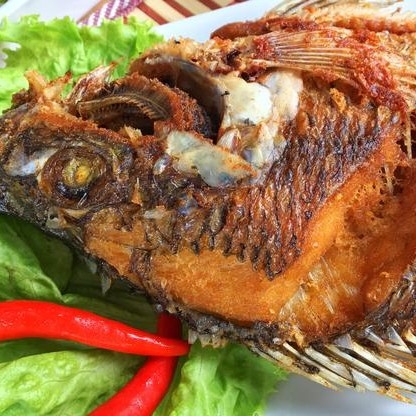 Nila Goreng QQ