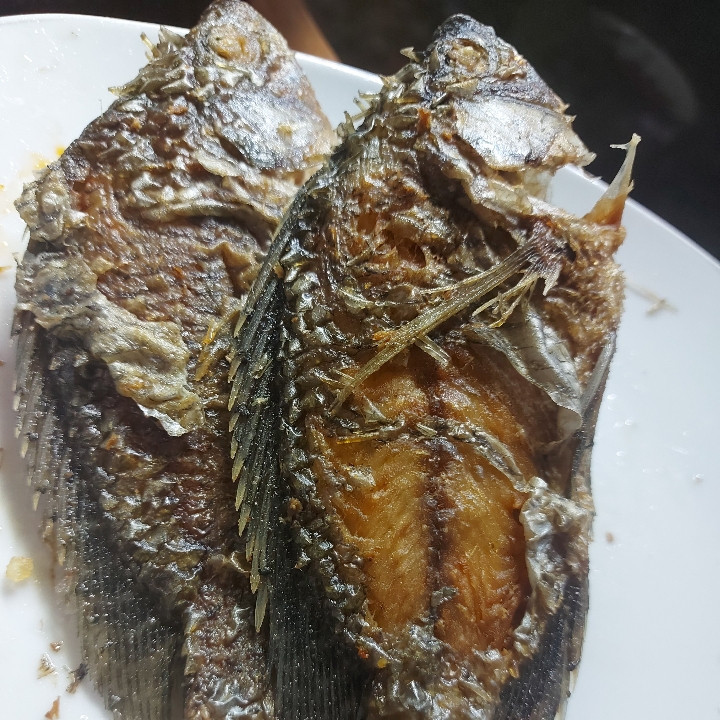 Nila Goreng Tanpa Nasi