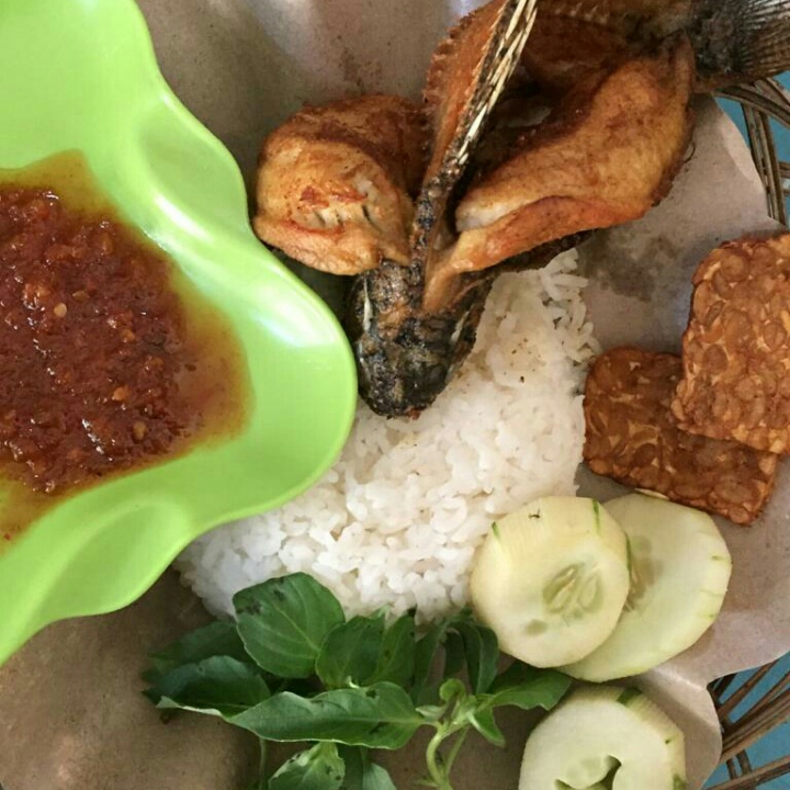 Nila Terbang