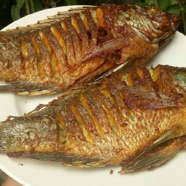 Nila goreng