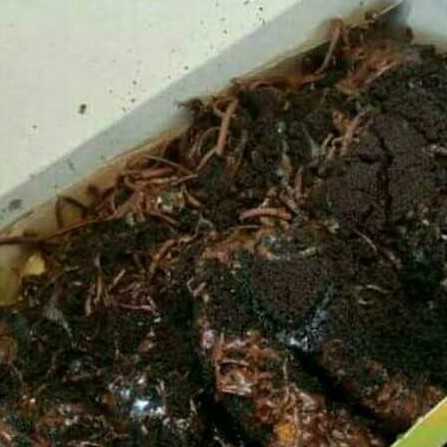 Nugget Choco Oreo
