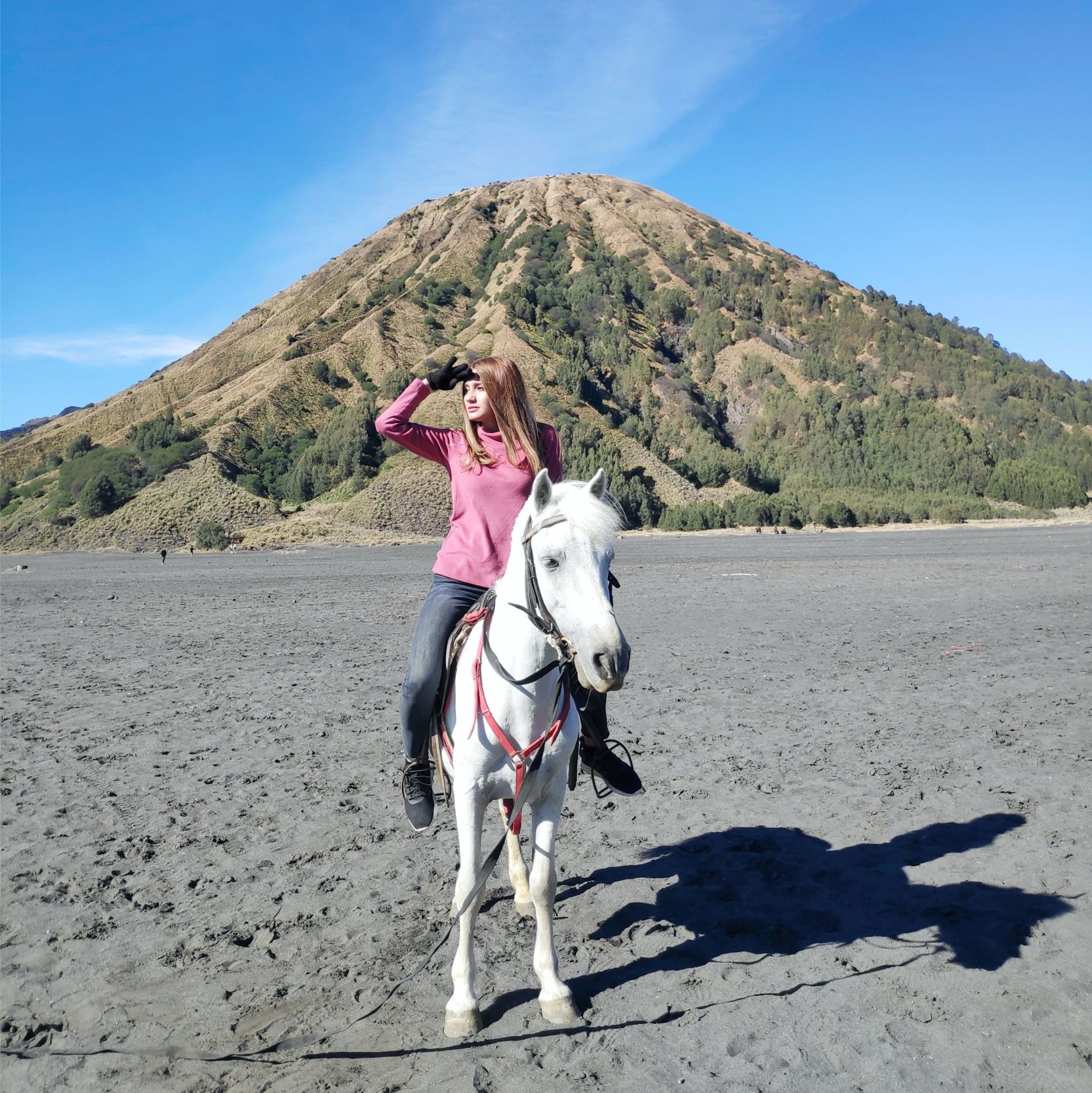 OPENTRIP BROMO PLUS DOKUMENTASI 5