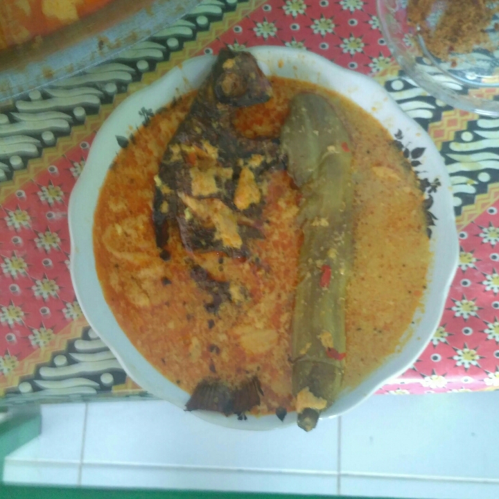 Opor Terong 