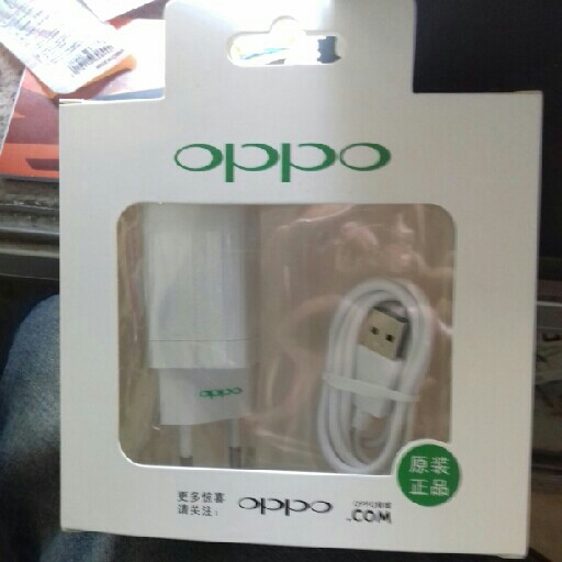 Oppo Charger High Quality 2A