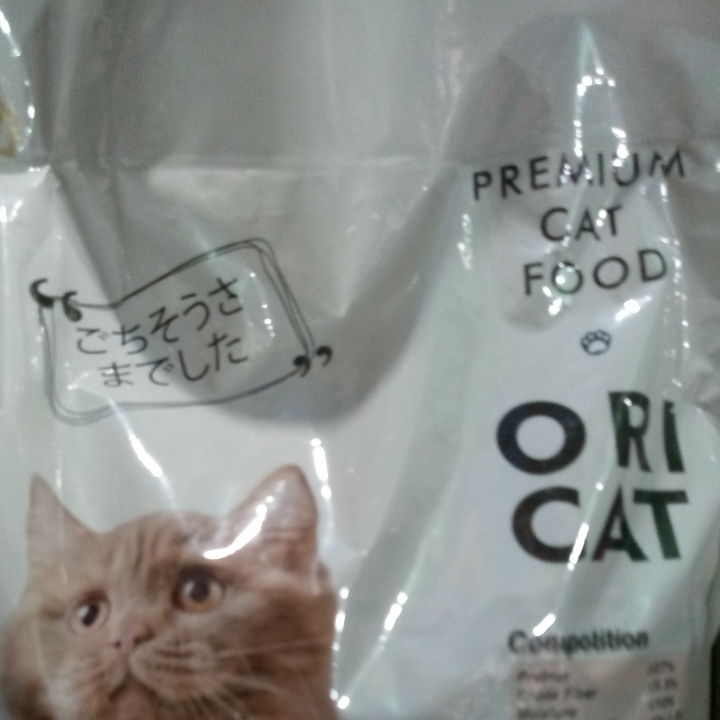 Ori Cat Adult