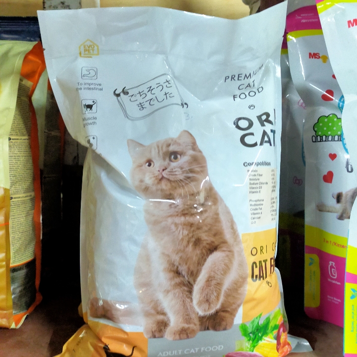 Ori Cat Adult