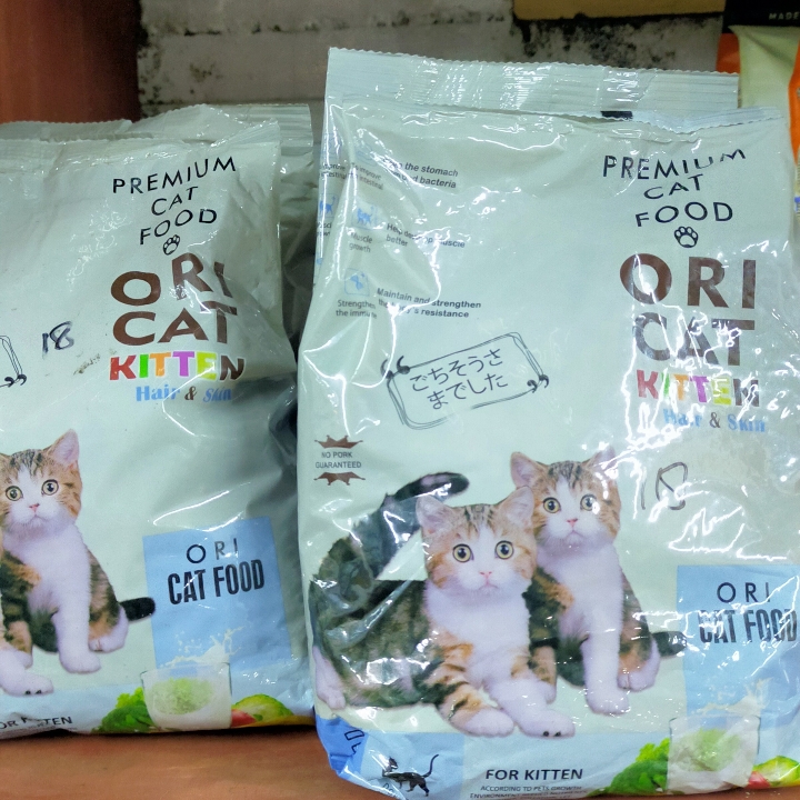Ory Cat Kitten