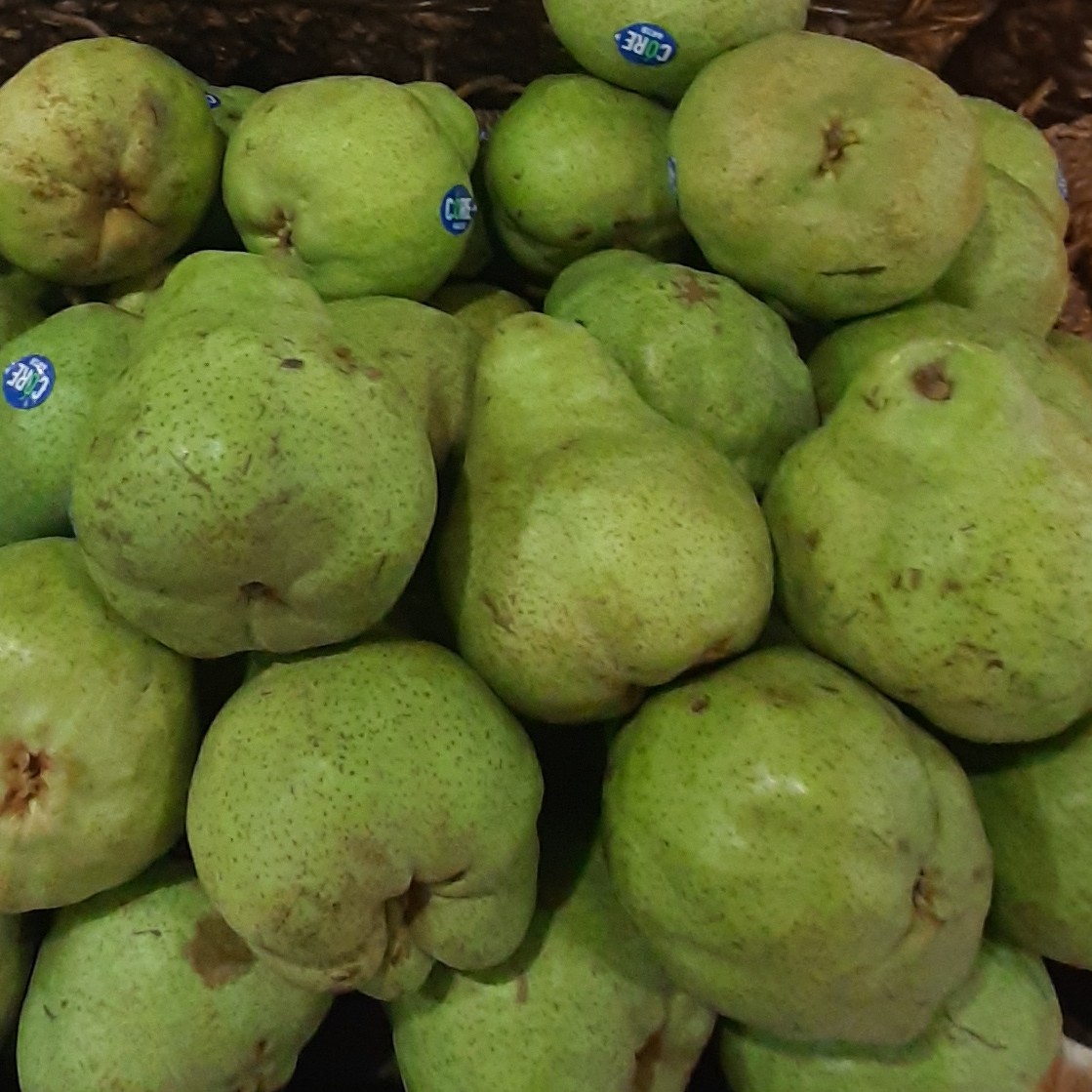 PEAR HIJAU PACHMAN 500 GRAM 2