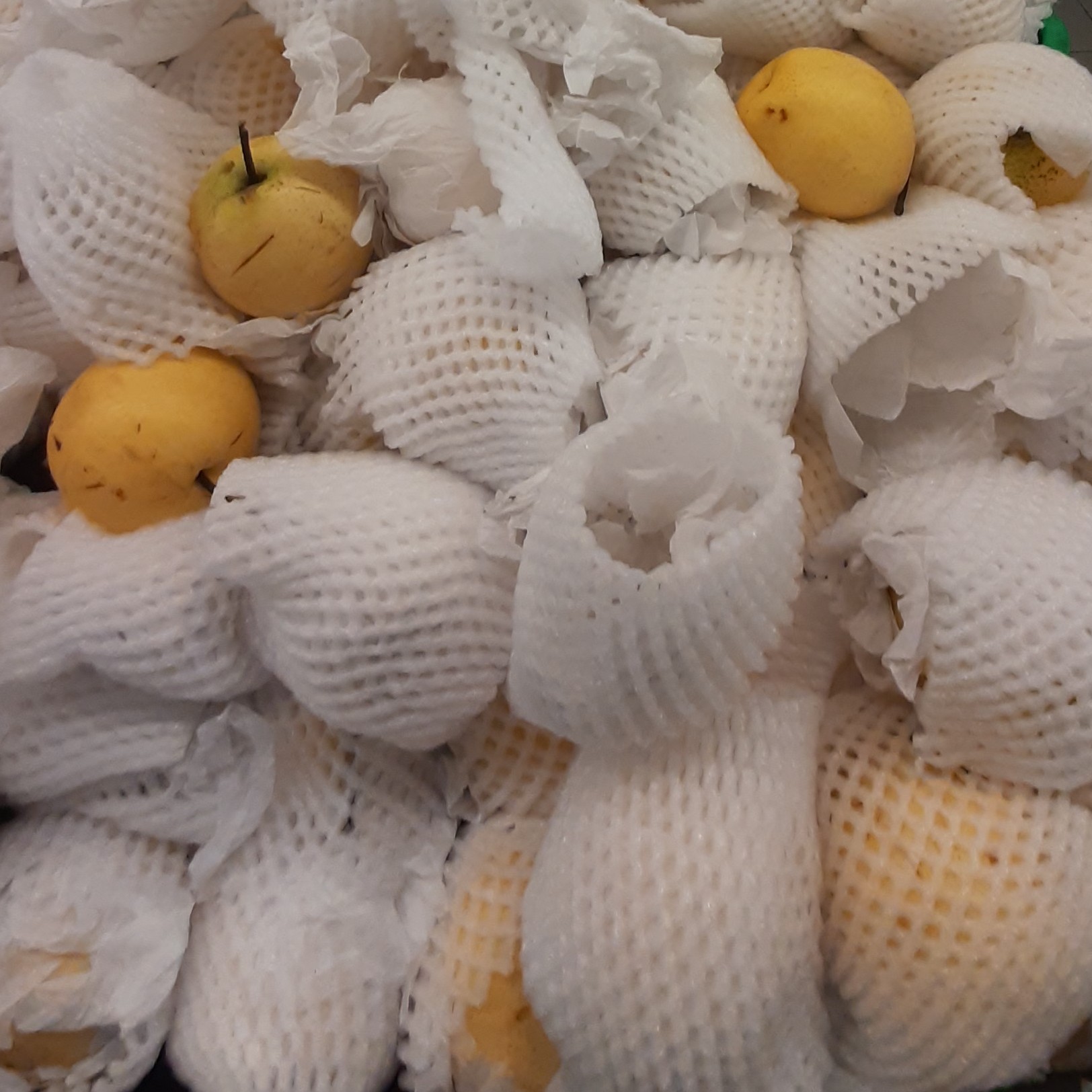 PEAR KEMASAN 500 GRAM 2