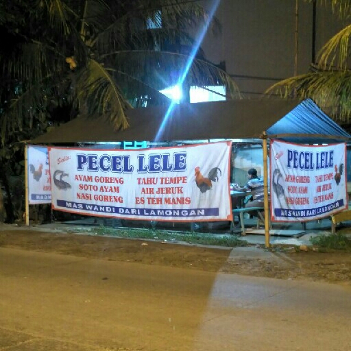 RANGKASBITUNG- PECEL LELE DEPAN BTN MUTIARA LEBAK